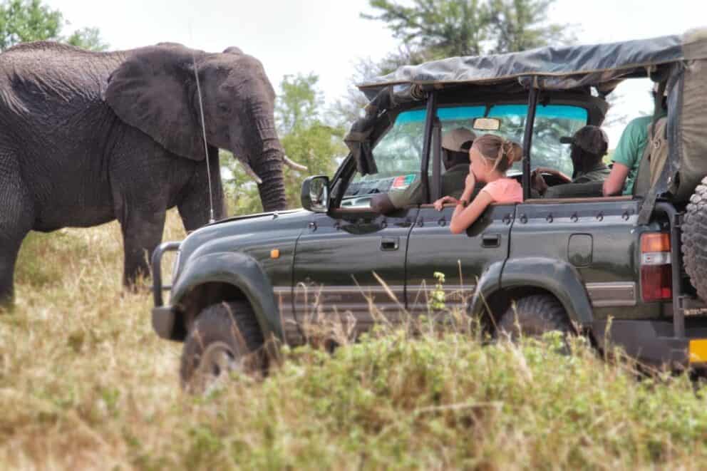 Safari vehicle observing an elephant | Photo credits: Serian's Serengeti Lamai
