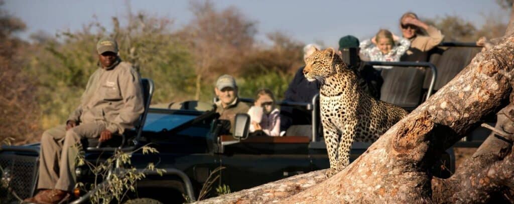 RockFig Safari Lodge