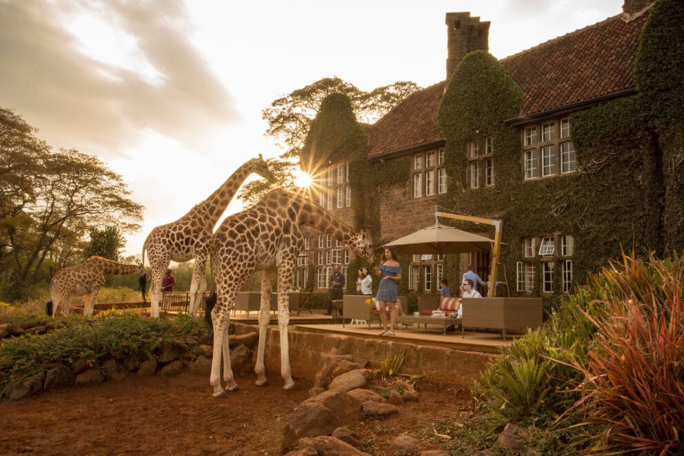 Giraffe Manor in Nairobi, Kenya, one of the best places to visit in Africa. 