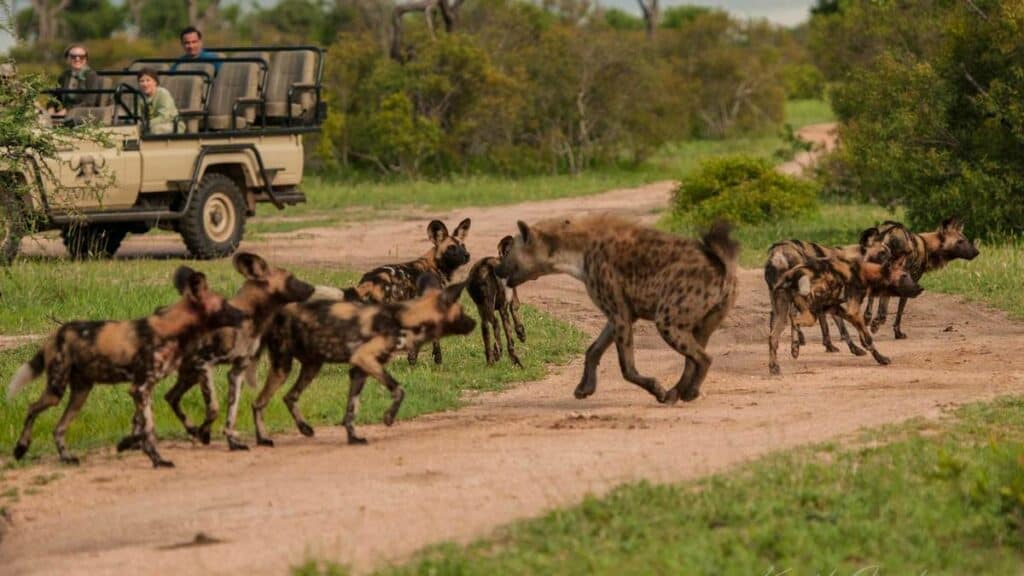 Inyati Game Lodge