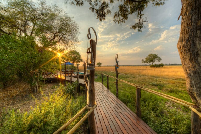 An elevated wooden walkway leading to the pool deck at Kadizora Camp, Botswana.