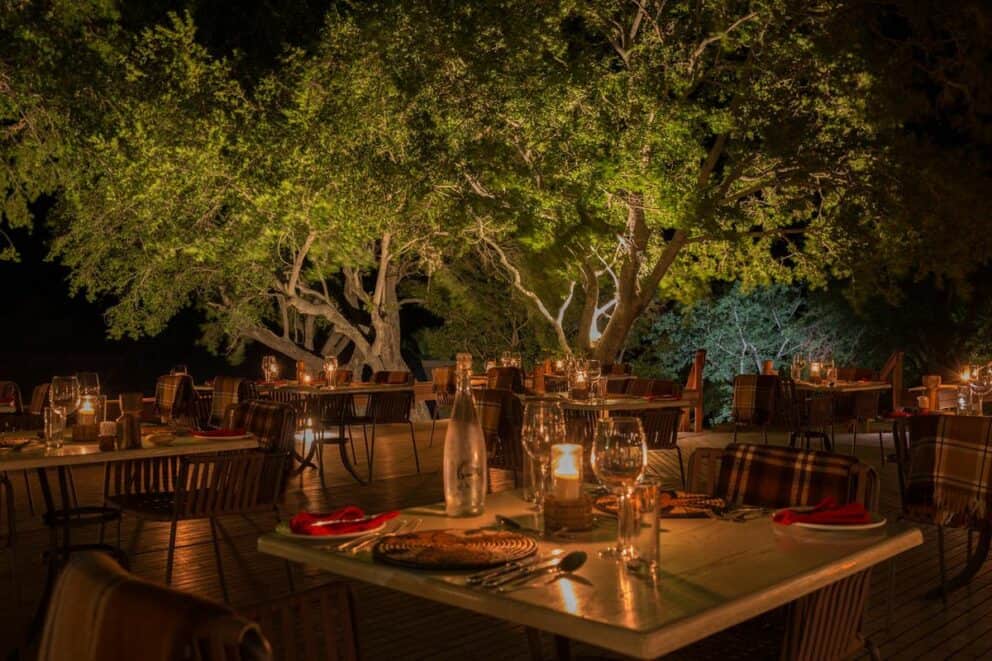 MalaMala Game Reserve offers a comfortable base for an African safari for seniors