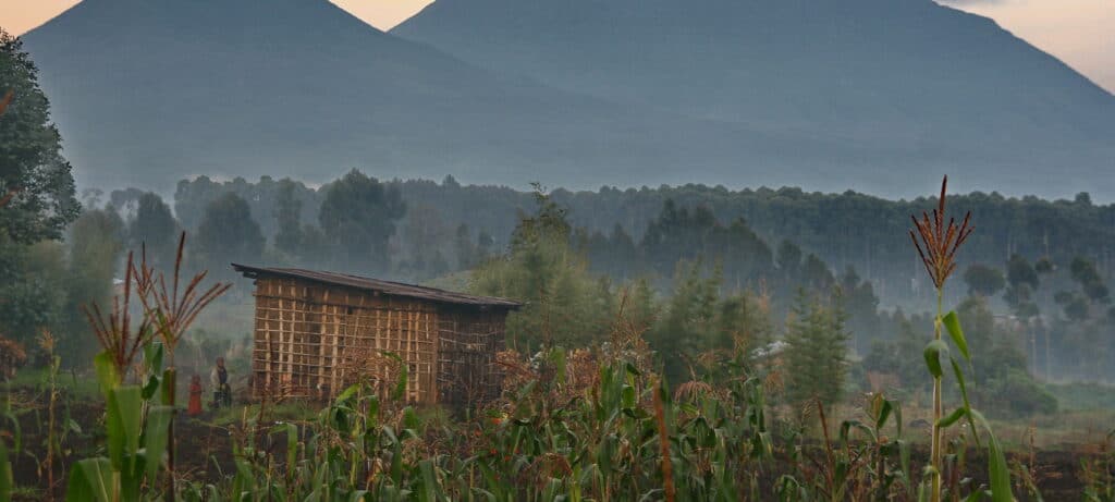One & Only Gorilla’s Nest Lodge