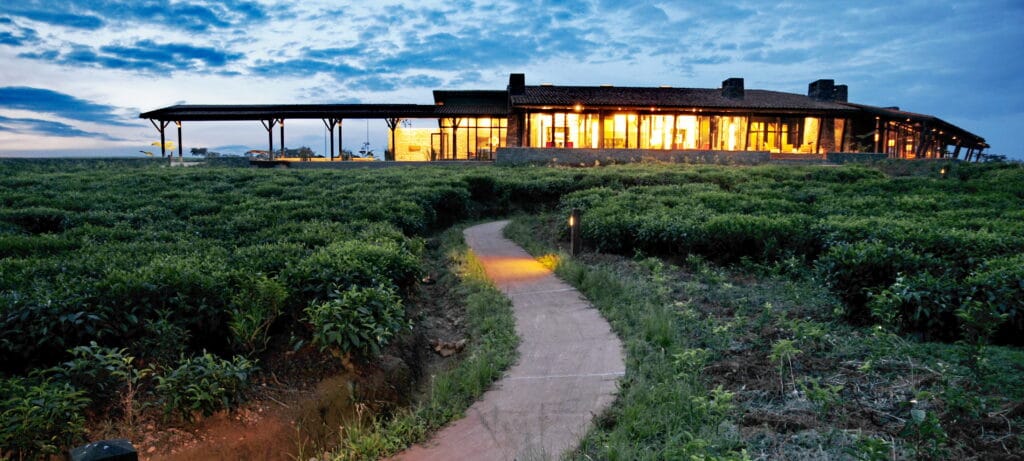One & Only Nyungwe House
