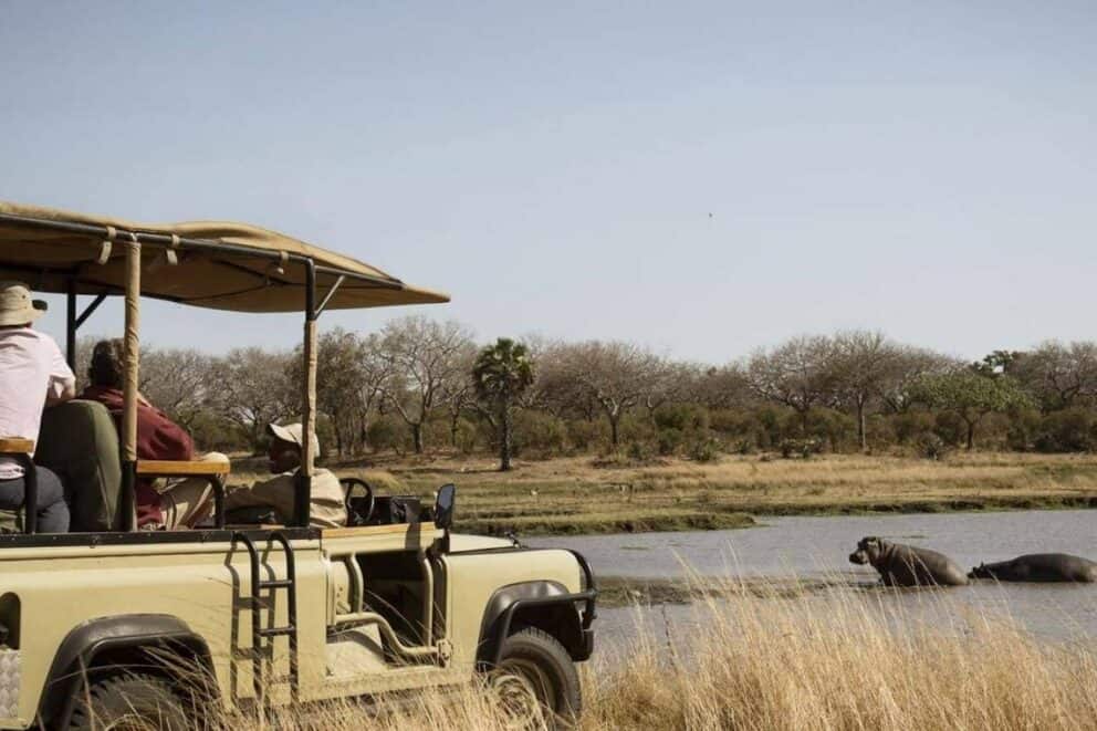 A safari vehicle with a group of guests observing a herd of hippos lounging in the water in Katavi National Park, Tanzania.