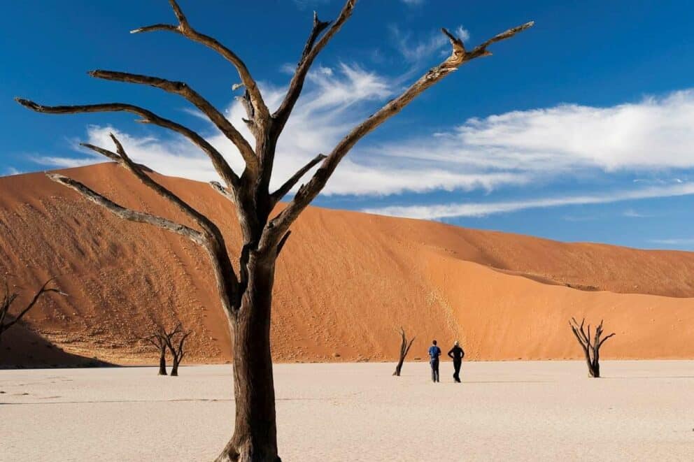 Deadvlei at Sossusvlei in Namibia.