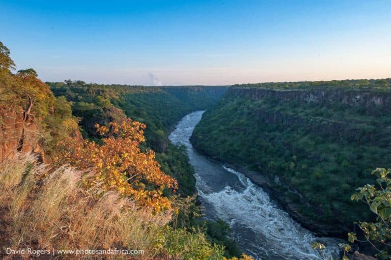 View of the Batoka Gorge at The Wallow Lodge, Zimbabwe.