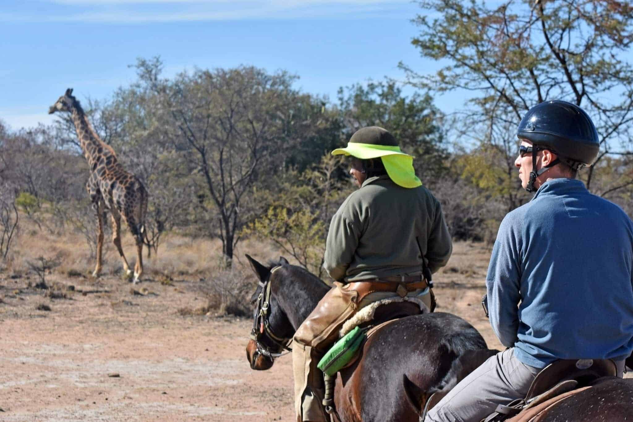 Group on a horse riding safari in South Africa spotting a giraffe. Photo: Getty Images