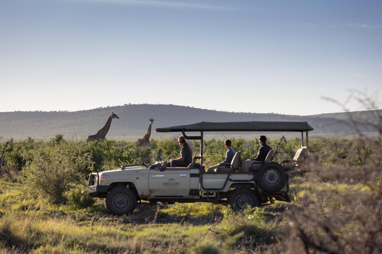 Game drive at Rhulani Safari Lodge in South Africa. which can be done in combination with birding safaris