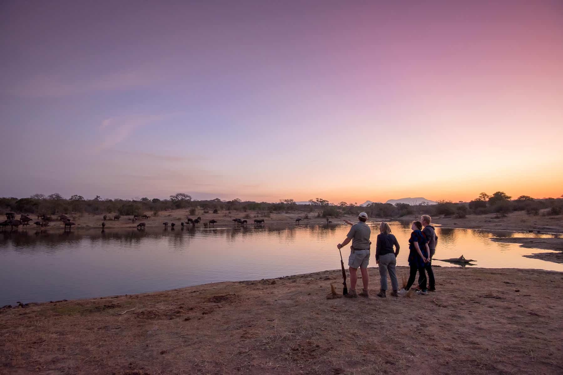 Walking safari on a Thornybush Game Reserve Safari