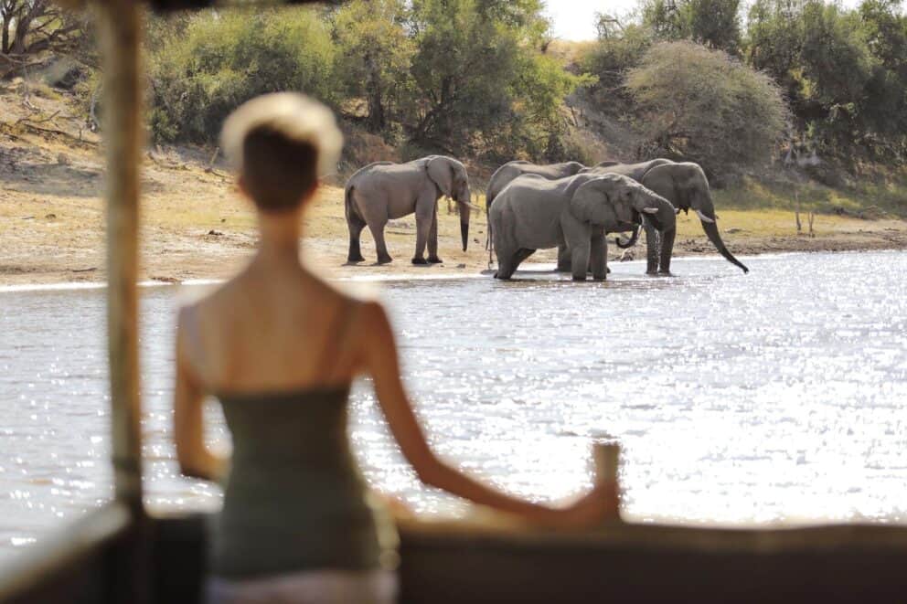 A guest observing elephants gathered by the Boteti River in the distance by river, viewed from Meno a Kwena near the Makgadikgadi Pans, Botswana.