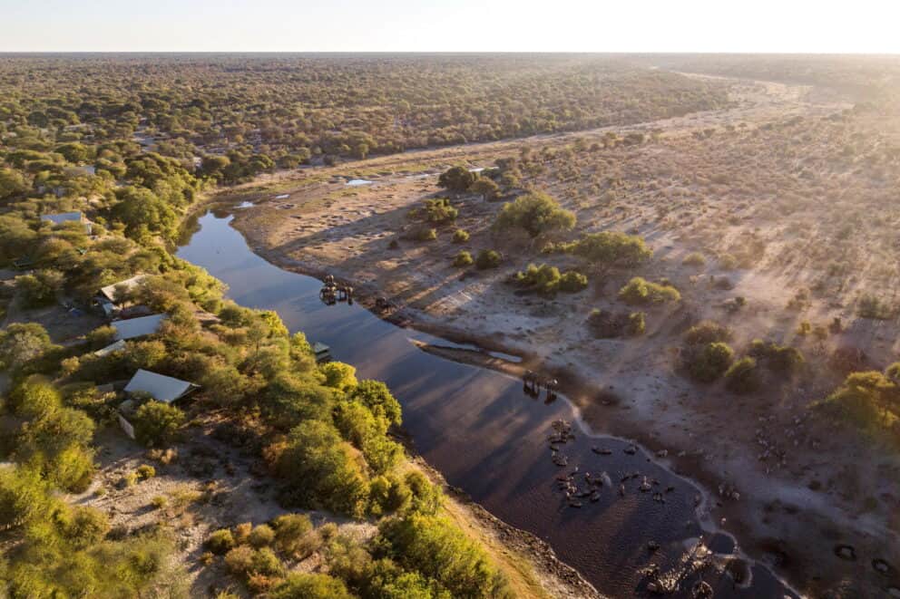 Aerial view of wildlife at the Boteti River near Meno a Kwena, Botswana.