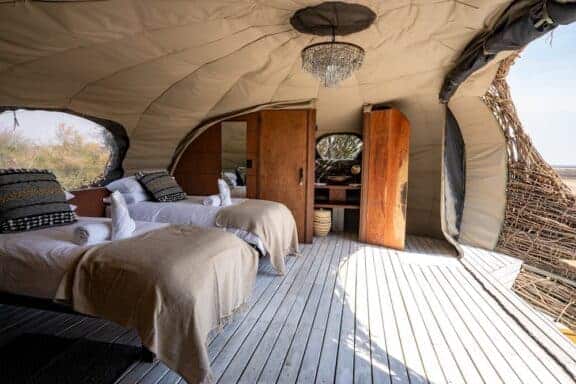 Chisa Busanga The nest