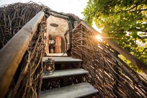 Chisa Busanga The nest