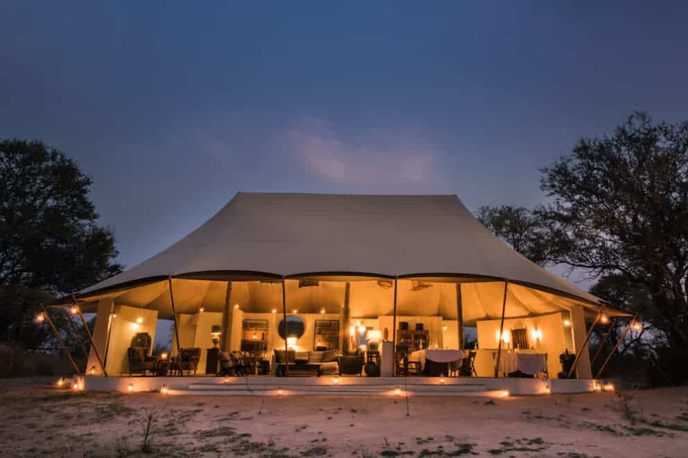 Chisa Busanga The nest