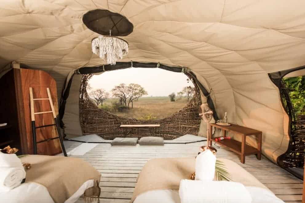 Chisa Busanga The nest