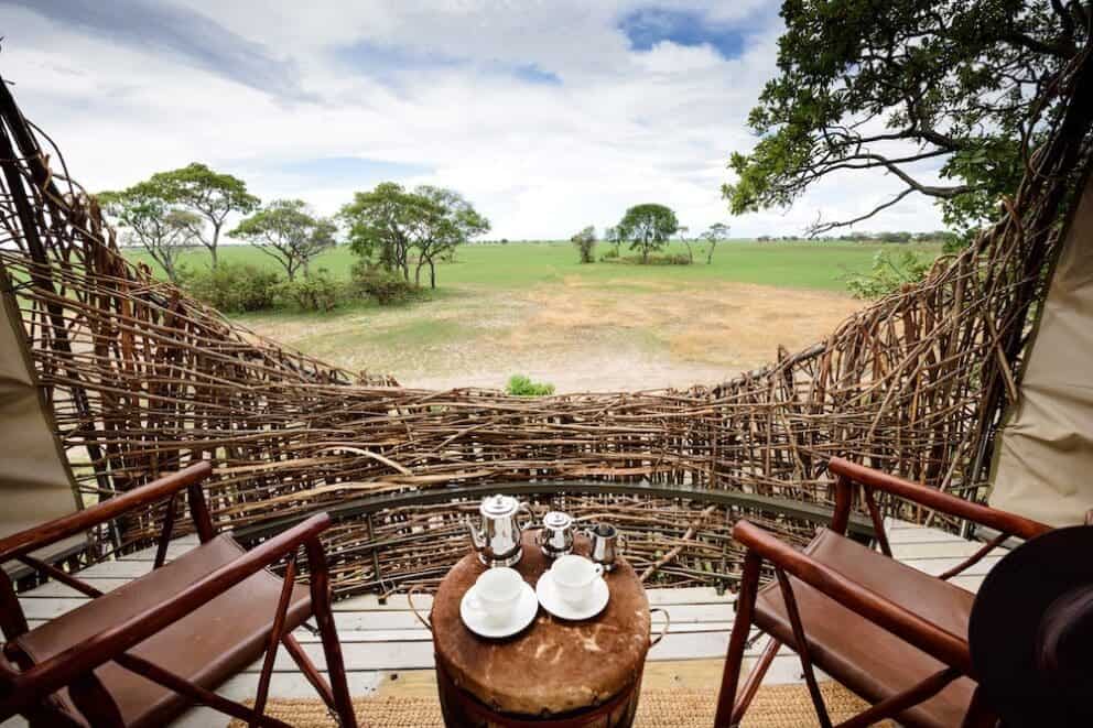 Chisa Busanga The nest