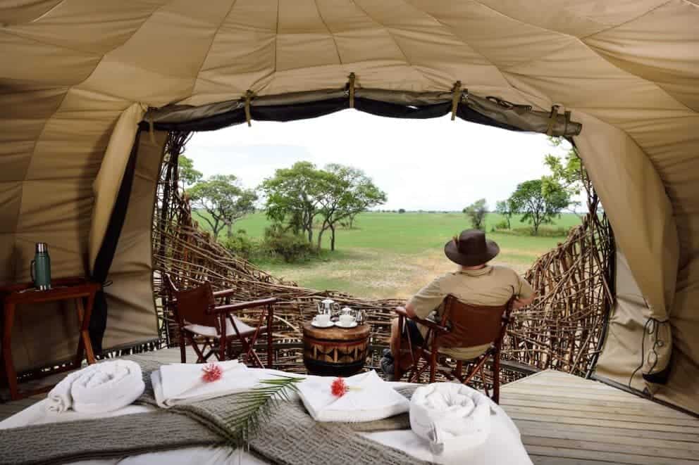 Chisa Busanga The nest