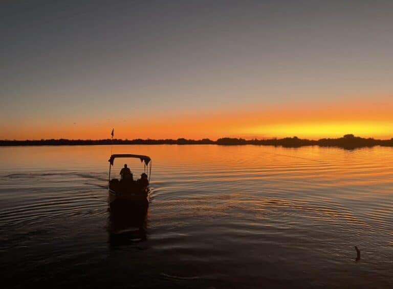 Review: Safari in Botswana, South Africa, and Zimbabwe