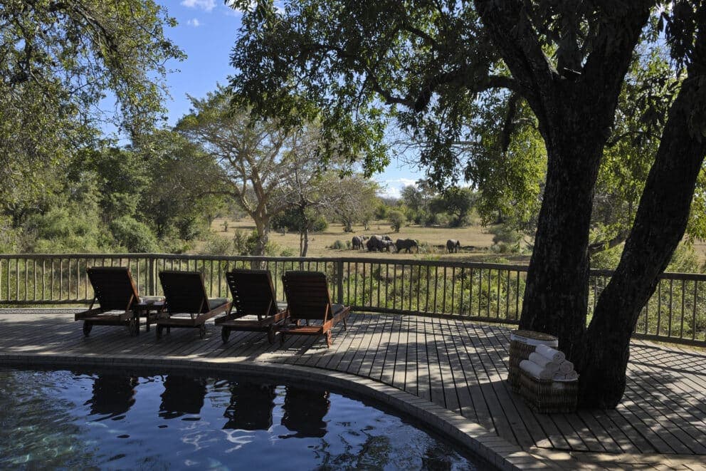 Elephants at the waterhole seen from Malamala's Pool. This can be enjoyed in combination with a Thornybush Game Reserve Safari