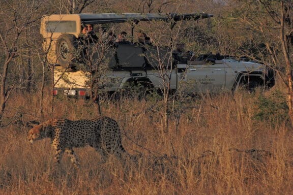 hamiltons_tented_camp