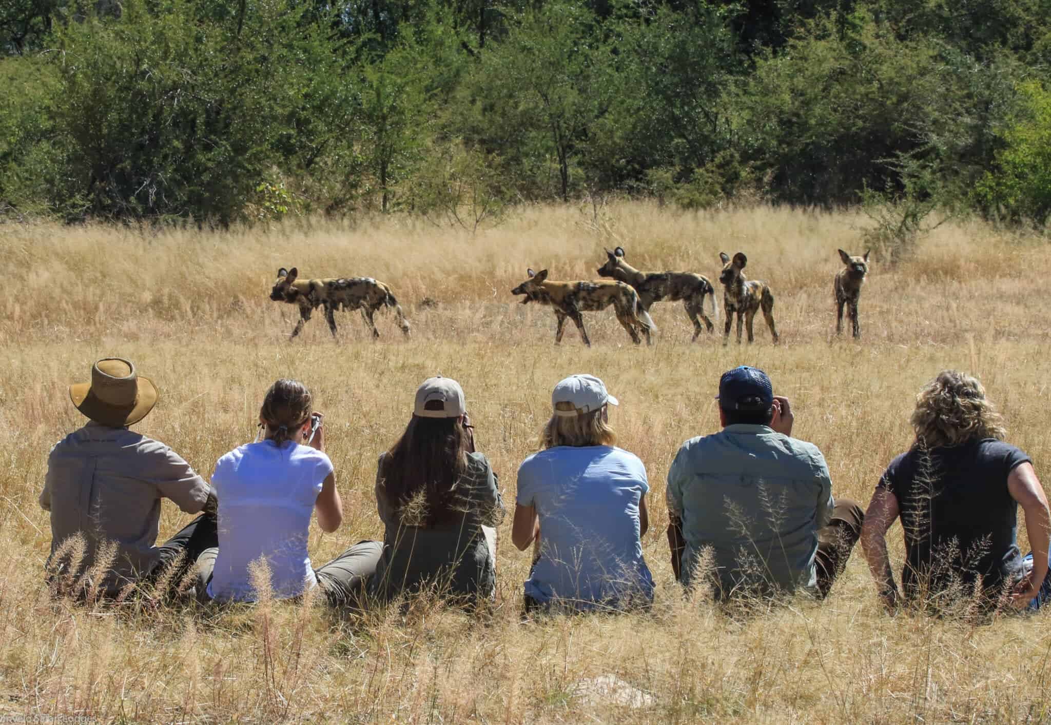 Walking Safari in Hwange National Park.