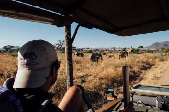 jabali_ridge_-_elephants_spotted_on_a_game_drive