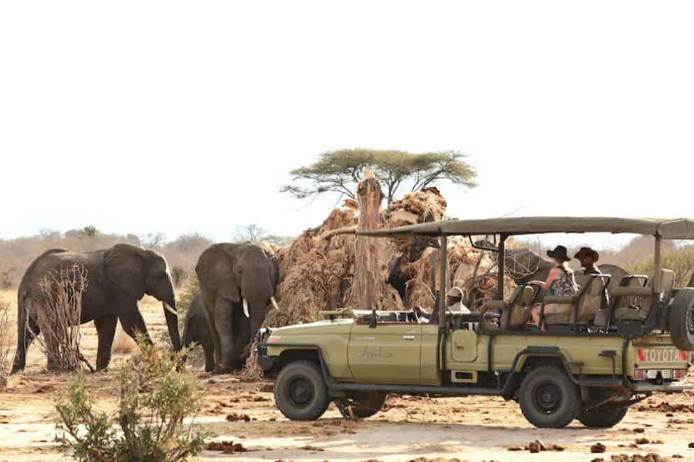 jabali_ridge_-_game_drive_with_elephants_eating_a_baobab