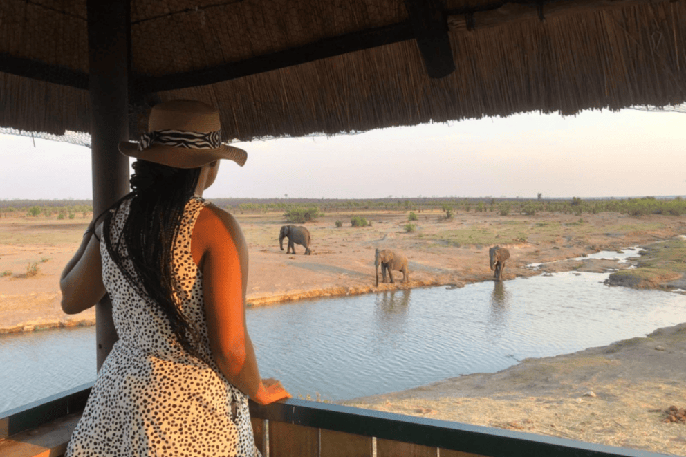 A guest observing a herd of elephants at a waterhole from an elevated wooden viewing deck at Hideaways Nantwich, Zimbabwe.