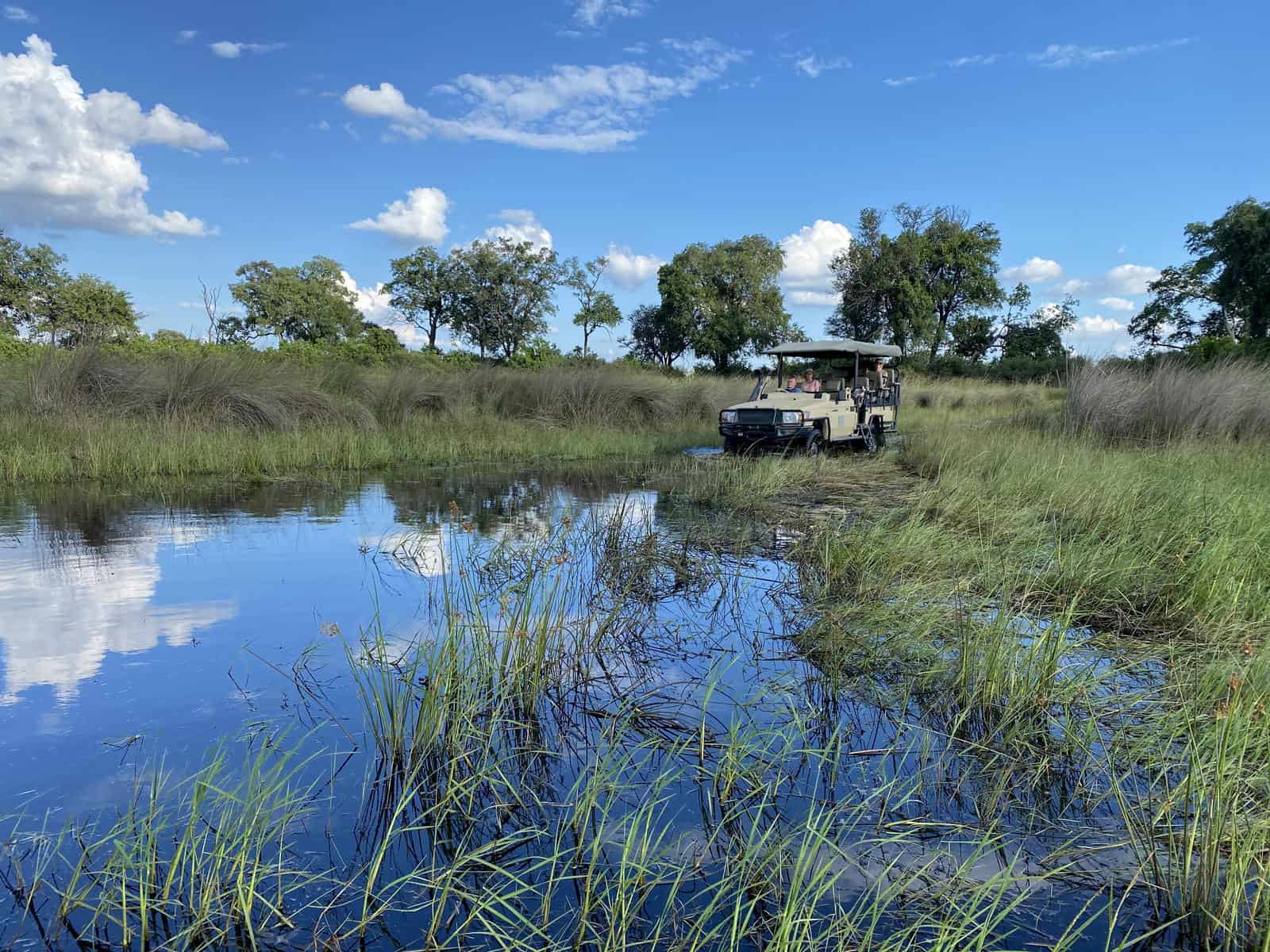 Game drive in the Okavango Delta for a Botswana photo safari