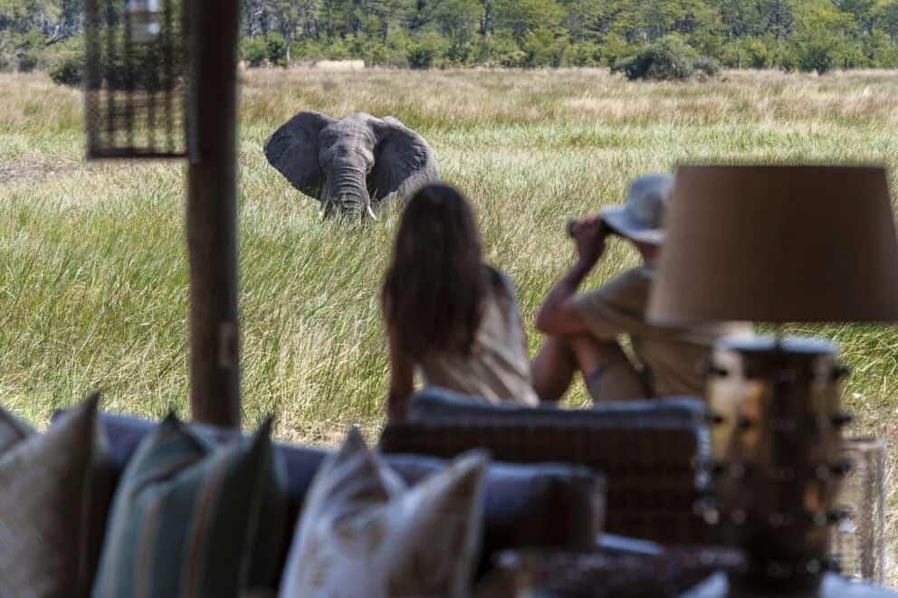 Spotting an elephant from your private deck lodgings on a big five safari in Botswana