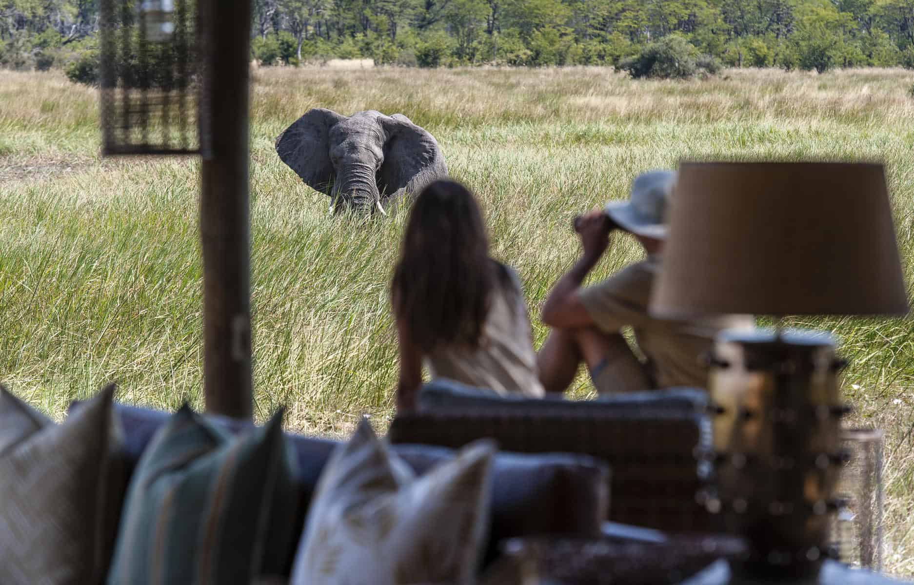 Spotting an elephant from your private deck lodgings on a big five safari in Botswana