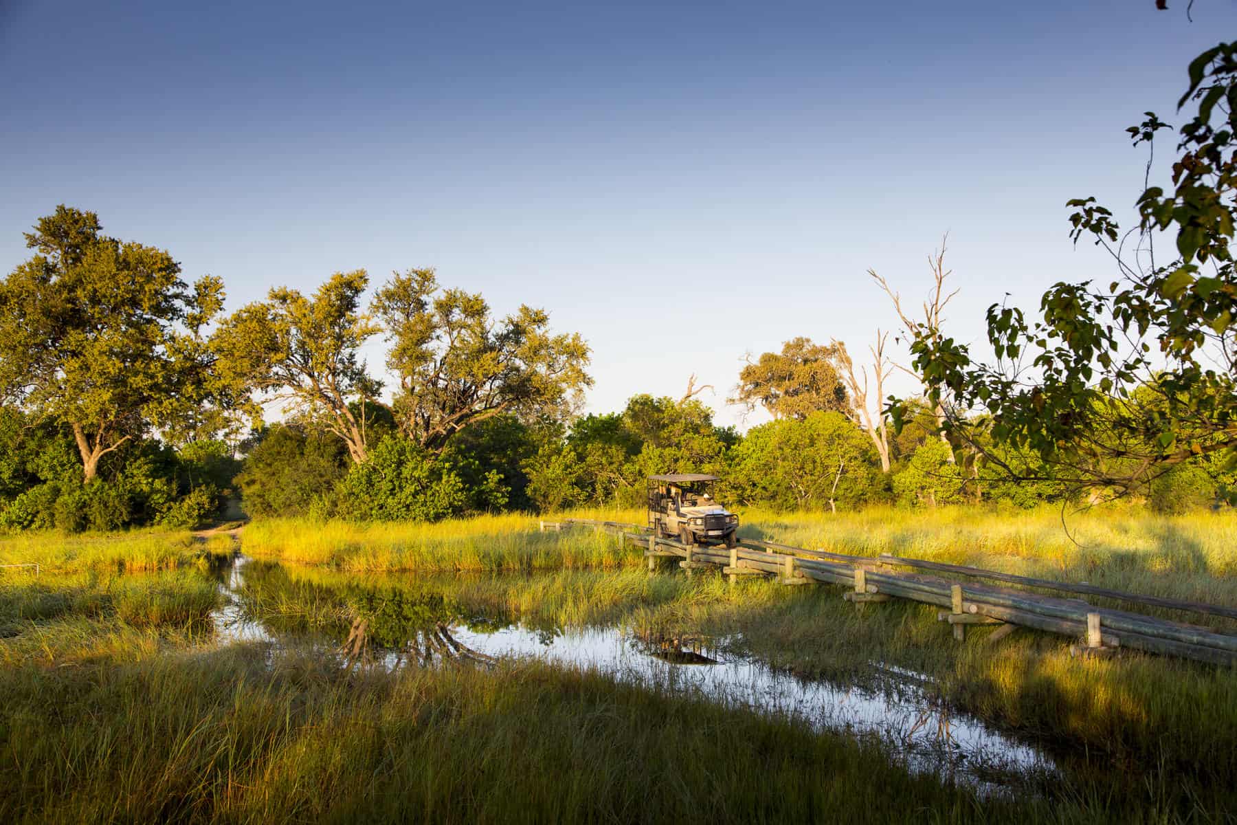 Guests on a game drive immersed in nature near Photo: Little Sable, Botswana.
