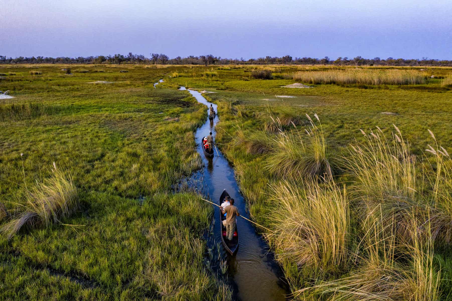 Poling through the Okavango Delta on Mokoro in Green Season