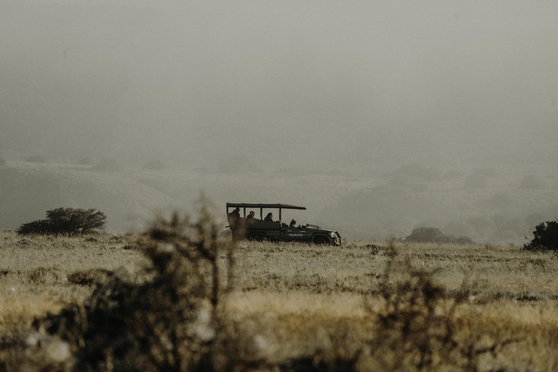 Game drive through Addo Elephant National Park, a malaria free safari destination in South Africa.