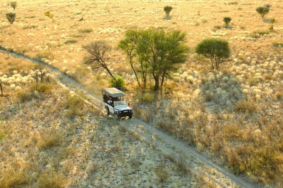 Game Drive on a Kalahari safari