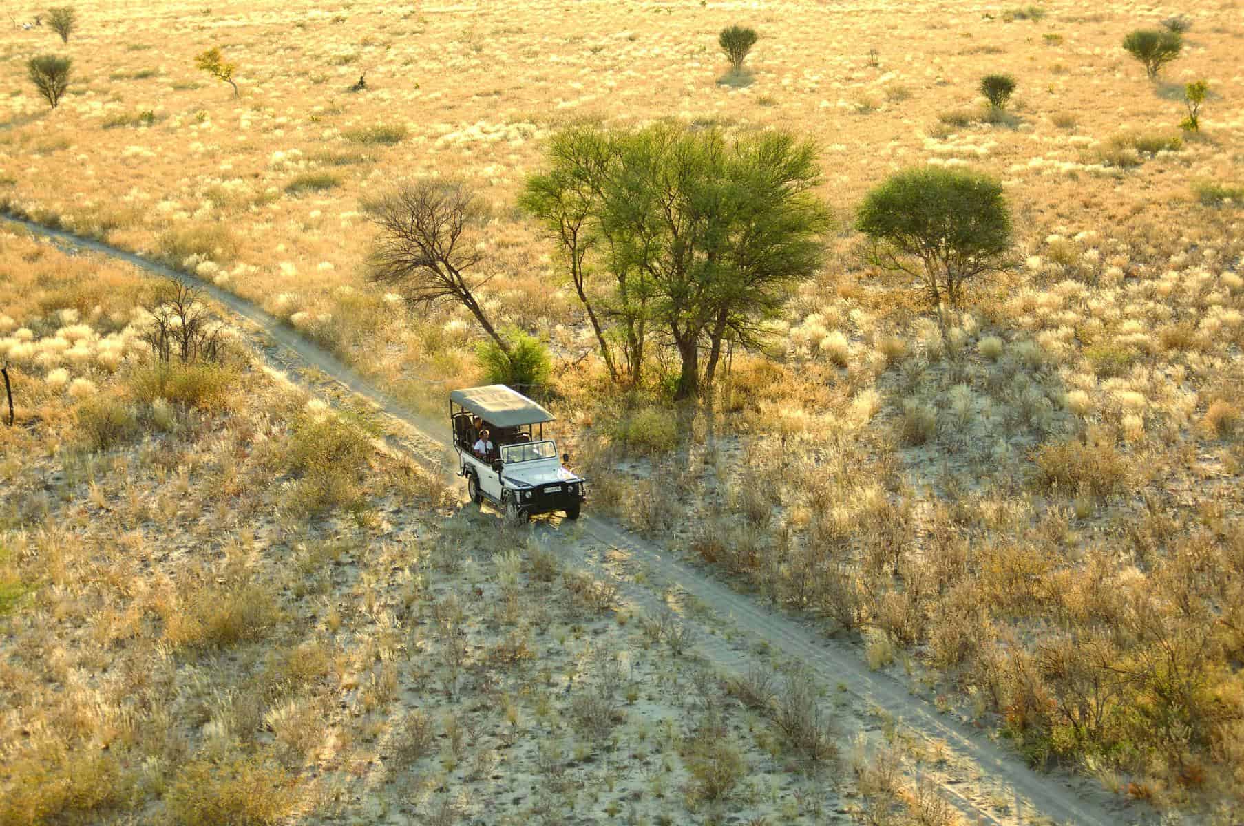 Game Drive on a Kalahari safari