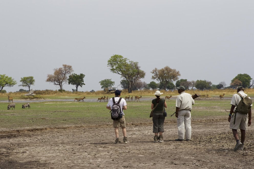 Tourists on a guided walking safari observing wildlife in the distance at Shinde Footsteps, Botswana.