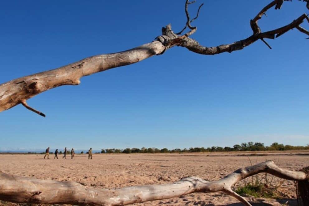 Guests on a guided walking safari in South Luangwa National Park near Nsolo Bush Camp, Zambia.