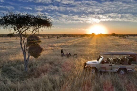 Savannah grasslands at sunset with safari vehicle on a Namibia honeymoon