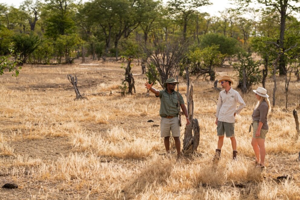 Ingwe Pan game drive , Image credit, Ingwe Pan