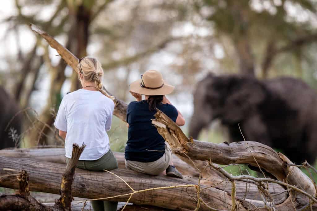 Angama Amboseli