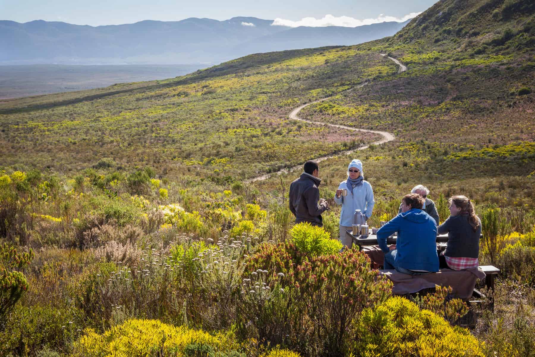 Walking safari in Grootbos along the Garden Route, South Africa