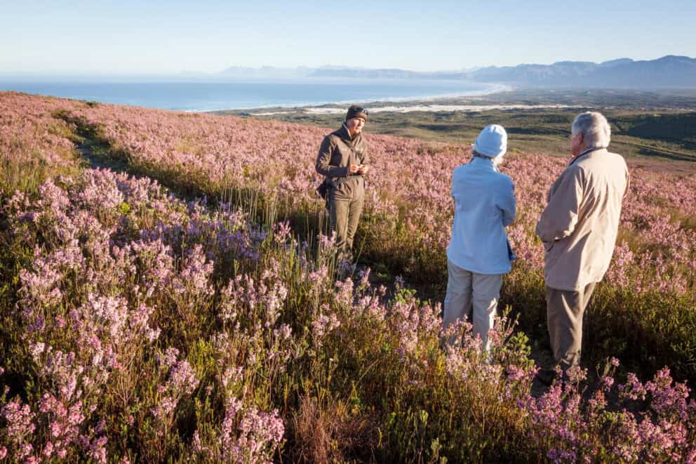 Nature walk through Grootbos during spring time in South Africa.