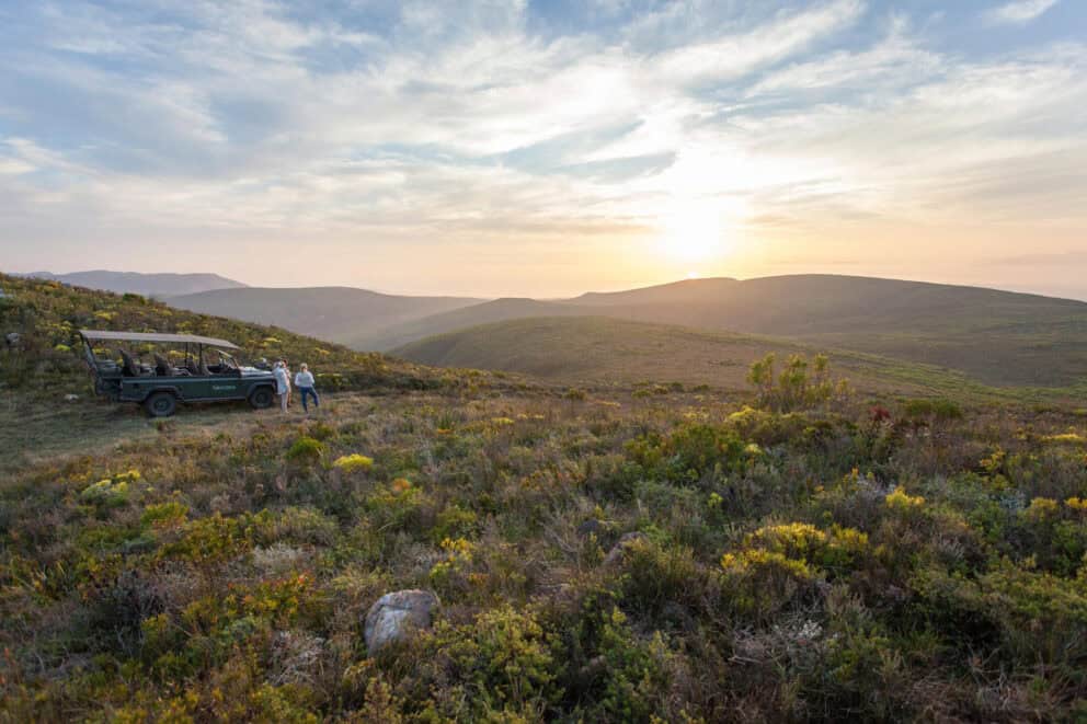 Guests on a guided nature drive in Grootbos Private Nature Reserve admiring the natural landscape near Grootbos Private Nature Reserve Villas, South Africa.