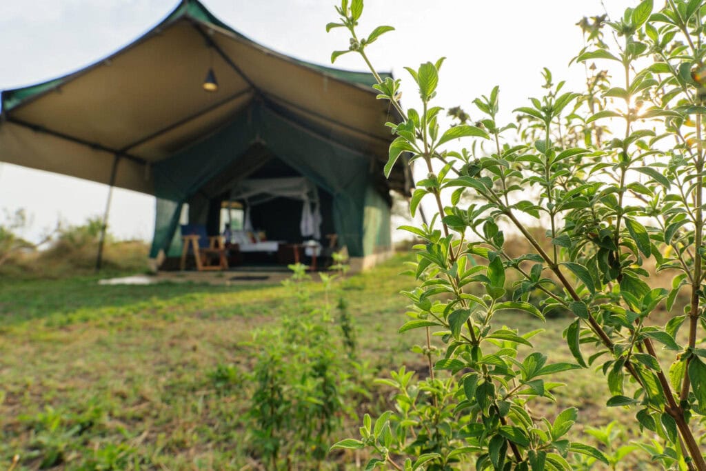 Nasikia Mobile Migration Camp (Jun – Oct)