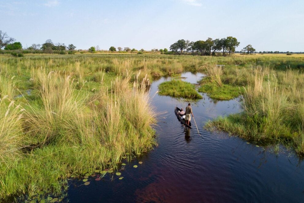A mokoro boat ride along the papyrus-lined floodplains at Duba Explorers Camp, Okavango Delta.