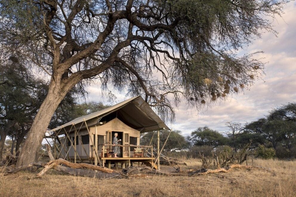 Somalisa Expeditions