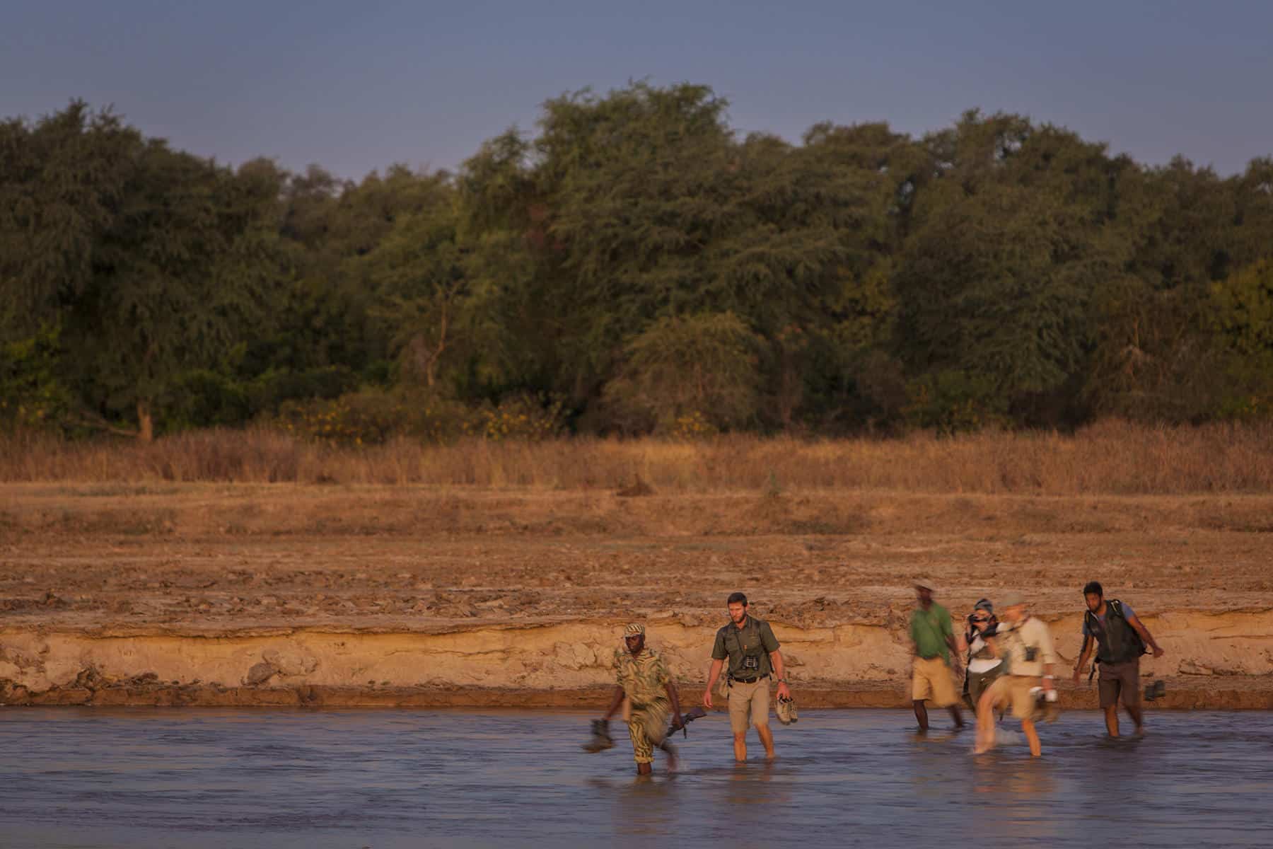 Walking safari in Mwaleshi Camp