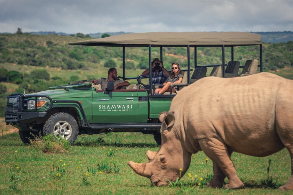 Tourists on a game drive watching a rhino grazing the grass plains of Shamwari Private Game Reserve.